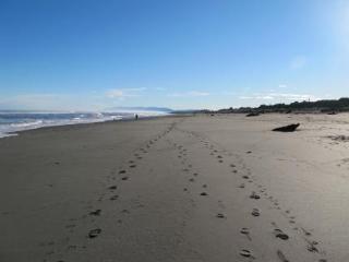 Shining Star Beachfront Accommodation Hokitika Exterior foto